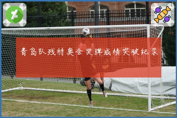 青岛队残特奥会奖牌成绩突破纪录