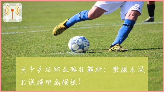 当今乒坛职业路径解析：樊振东误打误撞难成模板！