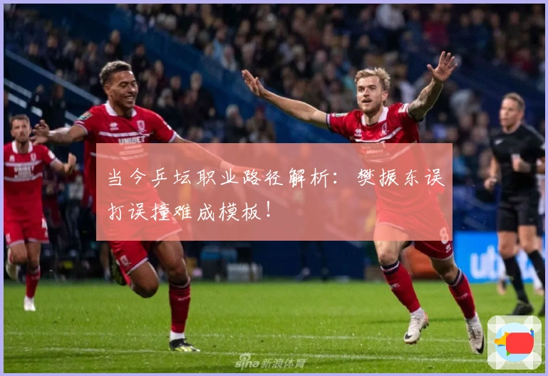 当今乒坛职业路径解析：樊振东误打误撞难成模板！